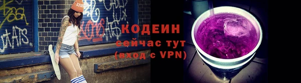 скорость Ельня