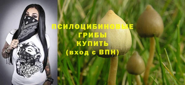 MDMA Грязовец