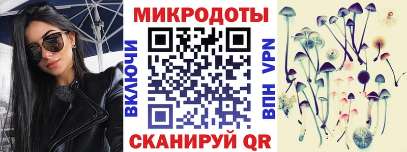 закладки Дубовка Галлюциногенные грибы MAGIC MUSHROOMS